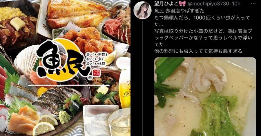 日本知名居酒屋 翻車 鍋內混入上千蟲子 網友 以後都不去了