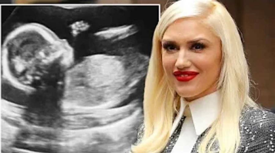Gwen Stefani Shares Happy News She Had To Hold In For So Long Amid