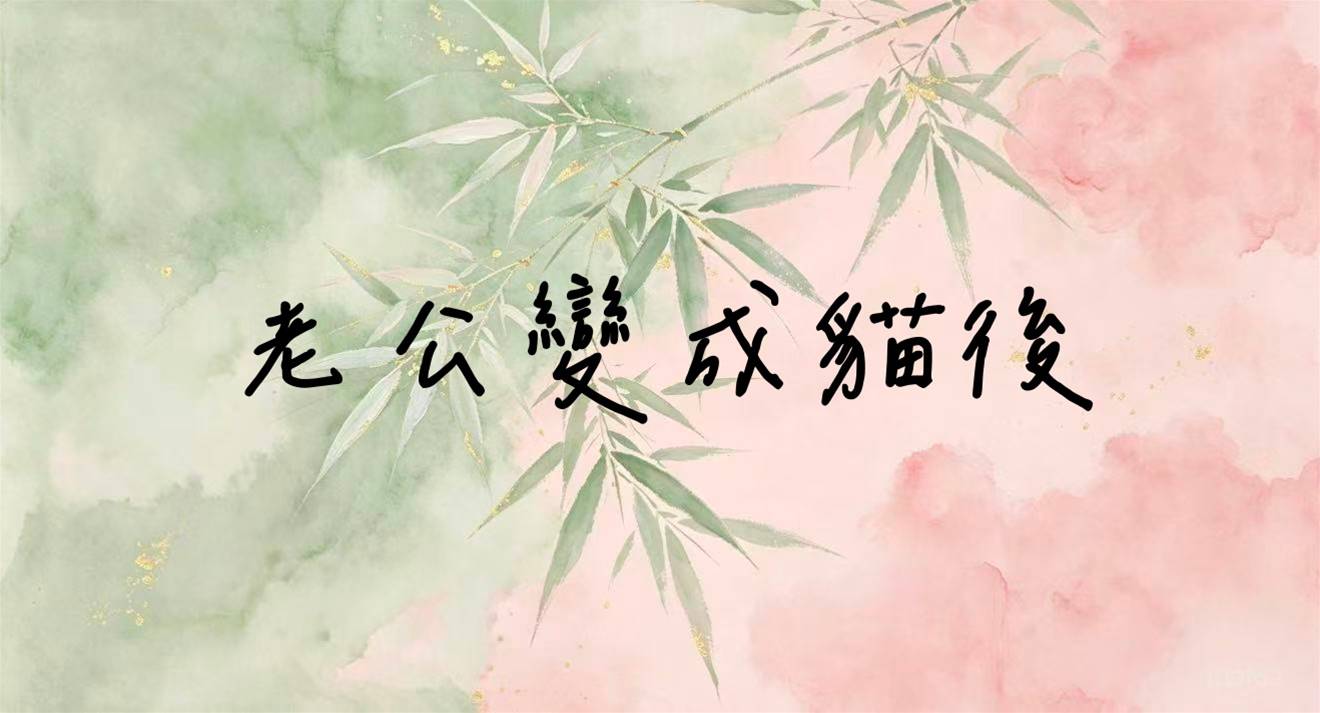 老公變成貓後