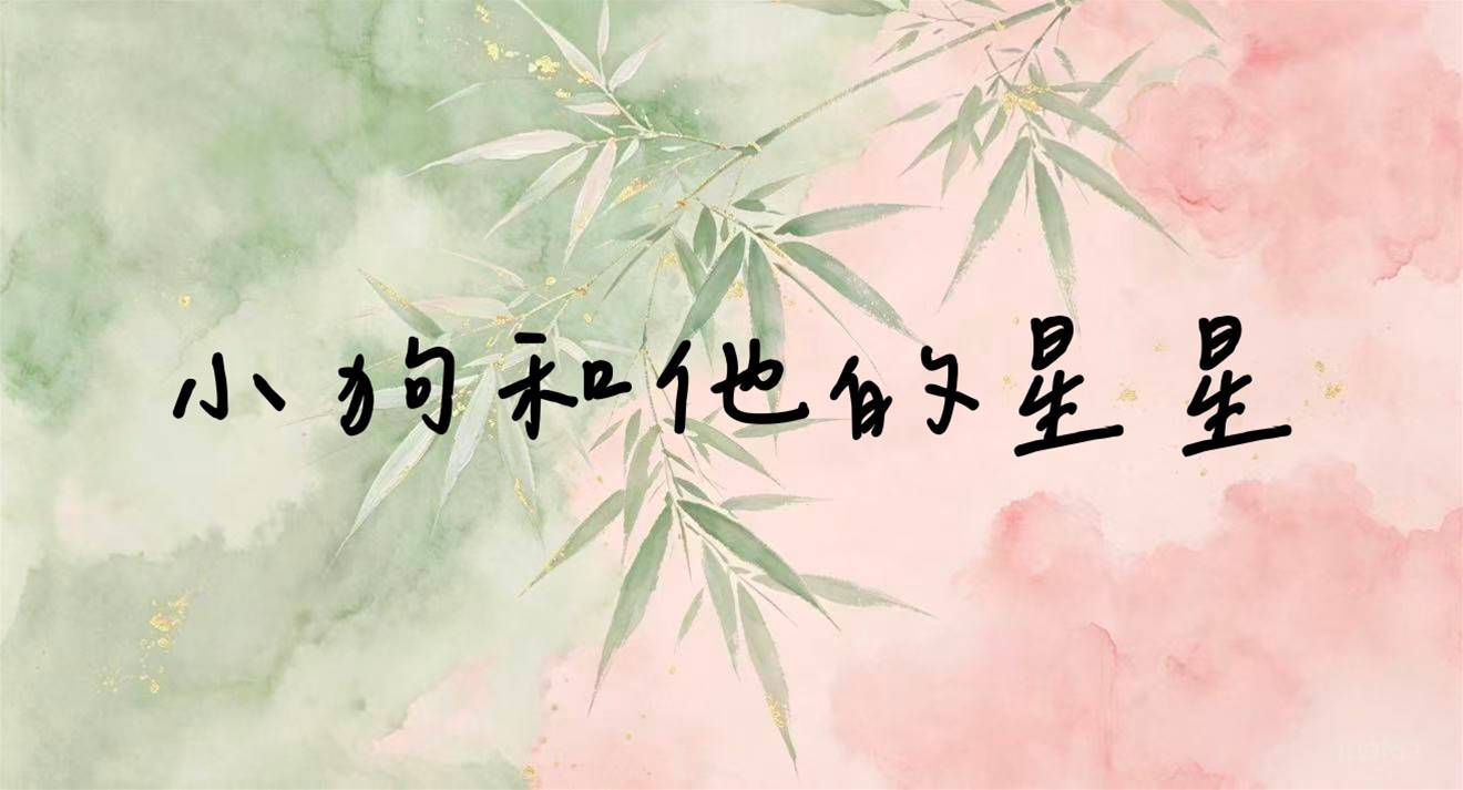 小狗和他的星星