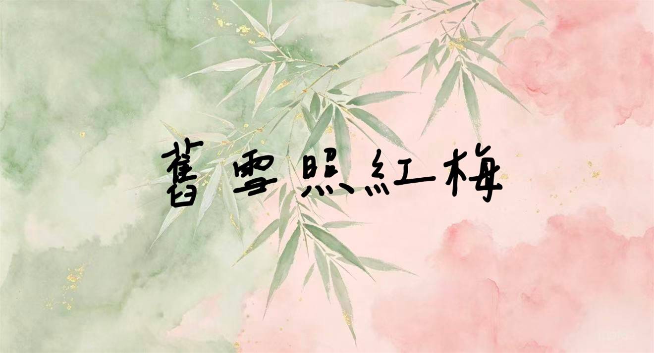 舊雪照紅梅