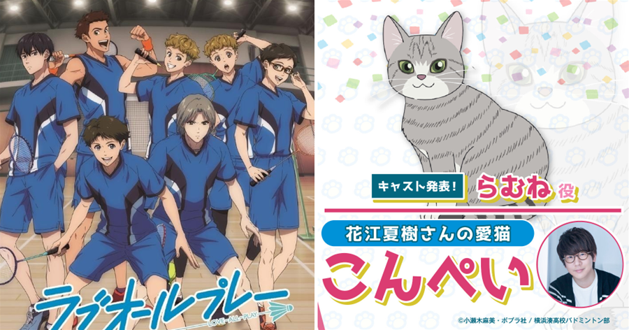 真實演出 聲優的貓也成為了聲優 花江夏樹的愛貓獻聲演出其新番中校貓