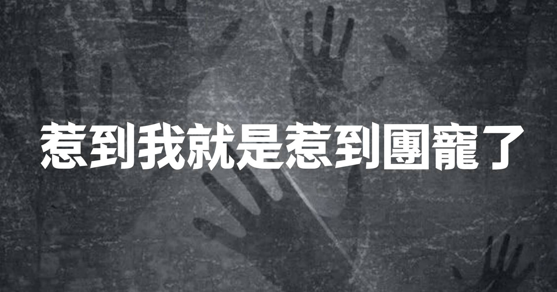 惹到我就是惹到團寵了