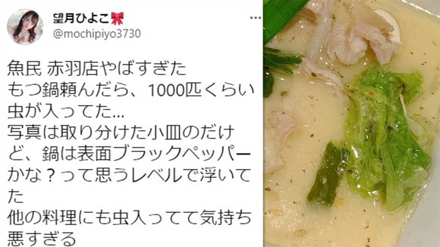 画像 魚民赤羽店 もつ鍋頼んだら1000匹くらい虫混入 店員の態度も信じられなくて1人250円割引